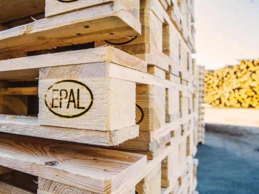 Tartak - Gałka - producent palet drewnianych :: Systematyczny, wieloletni rozwój sprawił, że początkowo niewielka rodzinna firma znana jako Tartak Gałka stała się liderem w produkcji ...